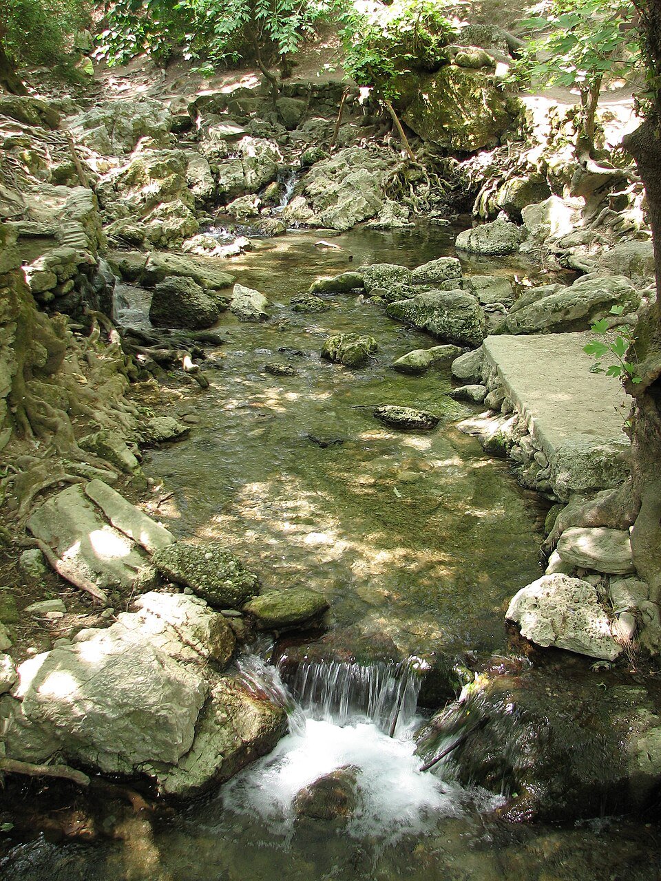 Woodland path in the Valley of the Butterflies Rhodes